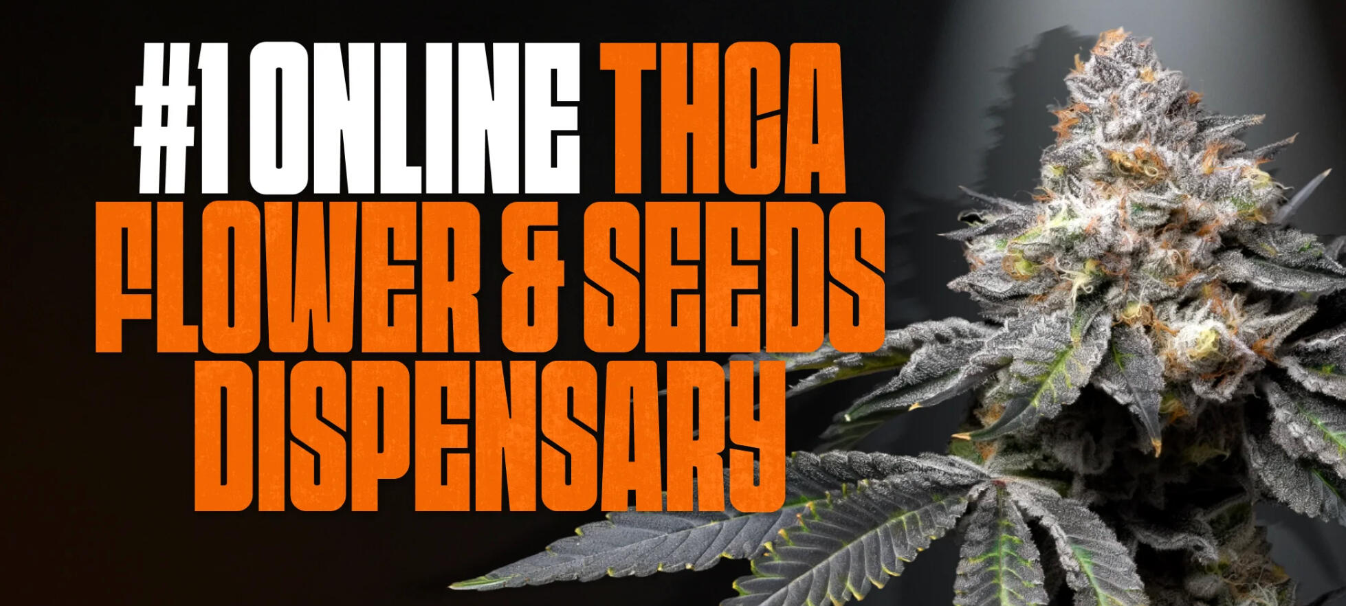 Black Tie CBD and THCa